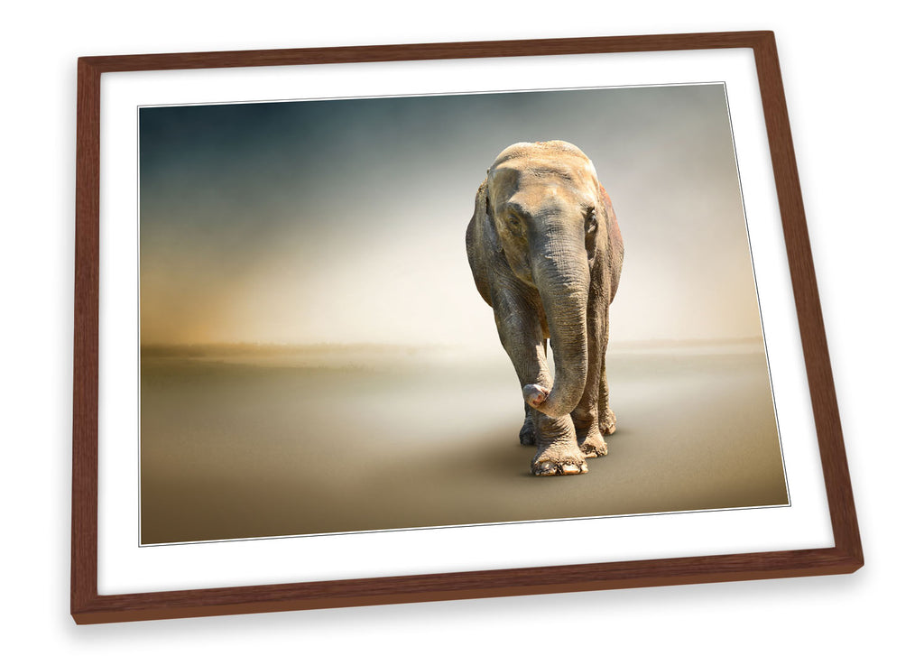 Elephant African Framed
