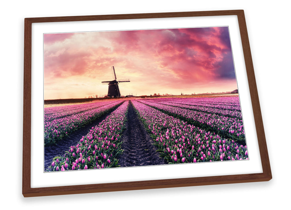 Windmill Pink Sunset Landscape Framed