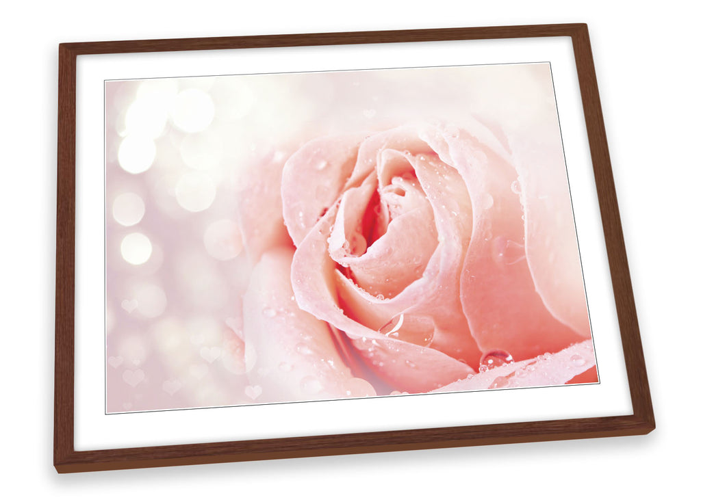 Modern Rose Petals Flower Framed