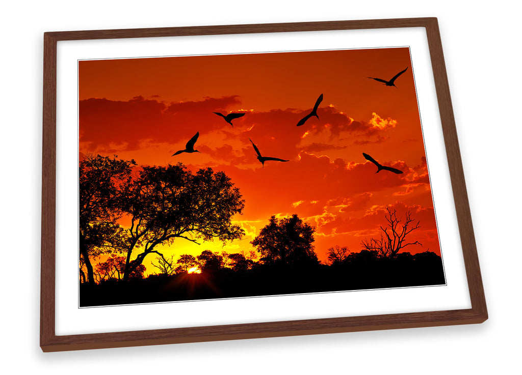 Africa Sunset Orange Birds Framed
