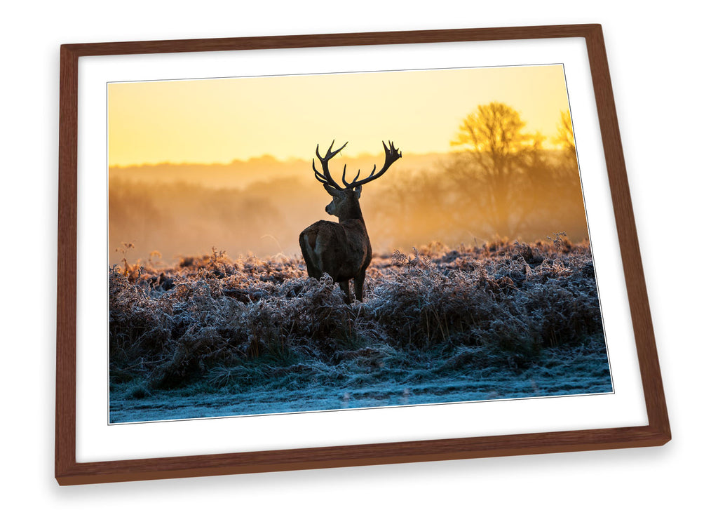 Stag Deer Sunset Framed