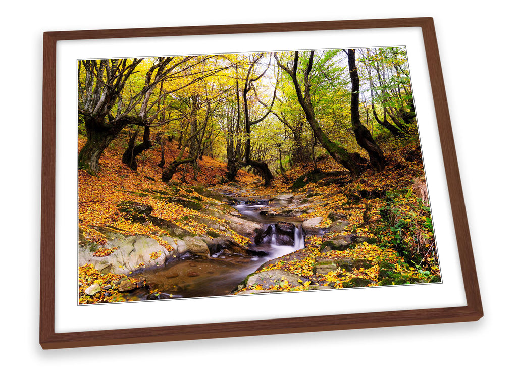 Autumn Forest Woodland Multi-Coloured Framed