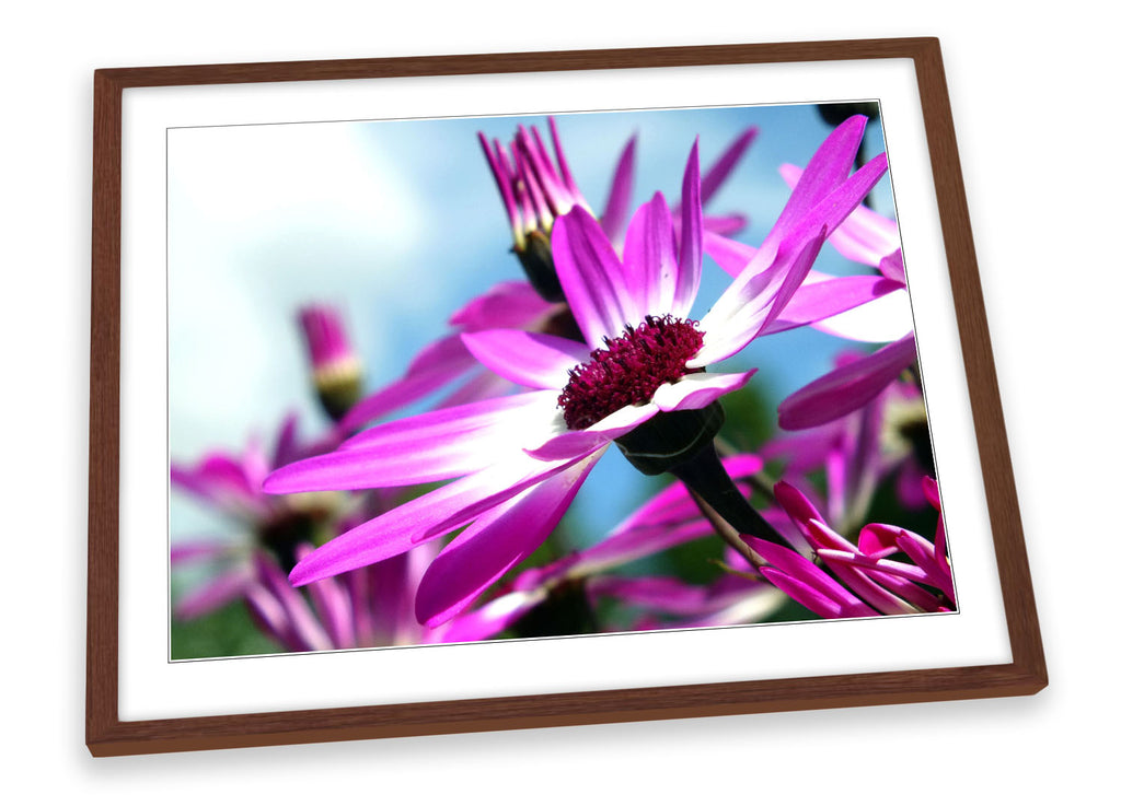 Wild Flowers Floral Purple Framed