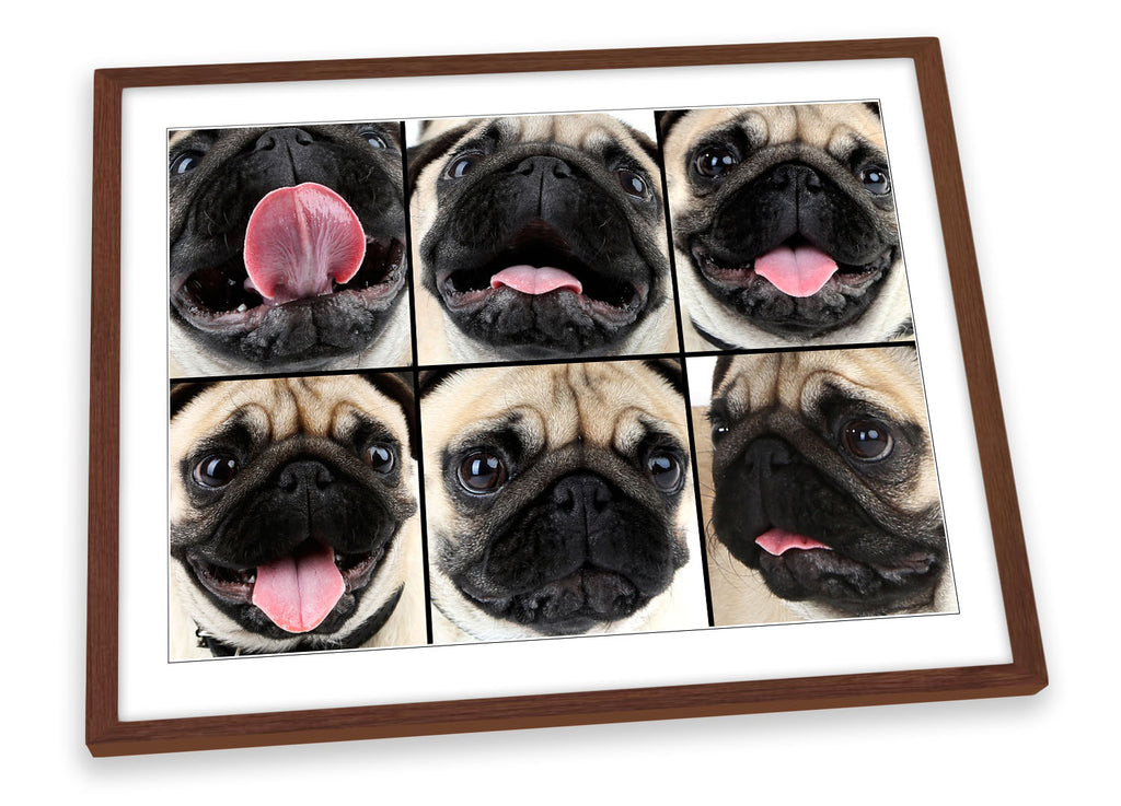 Cute Pug Dog Collage Framed