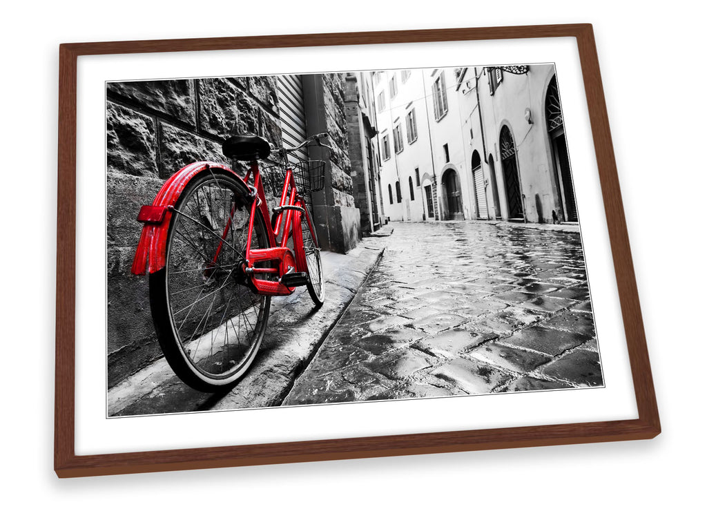 Red Retro Bicycle Framed