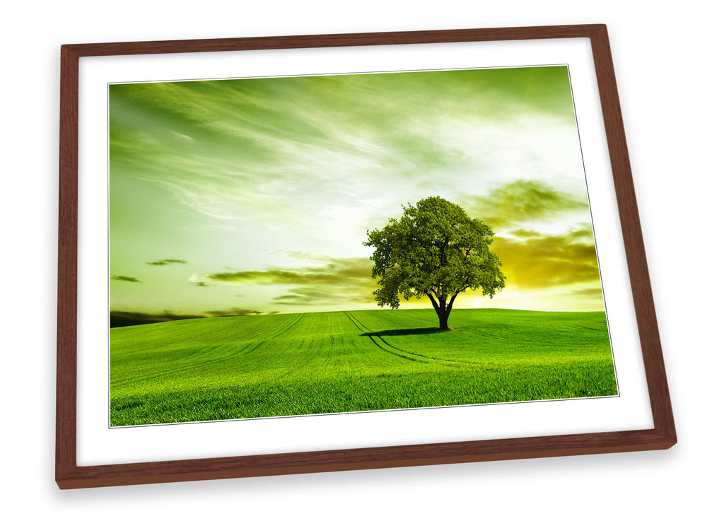 Green Landscape Tree Countryside Framed