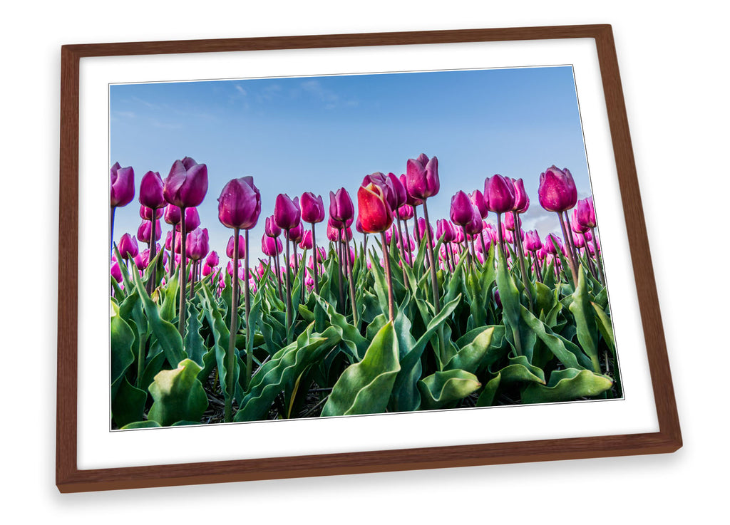 Floral Tulips Landscape Flowers Framed