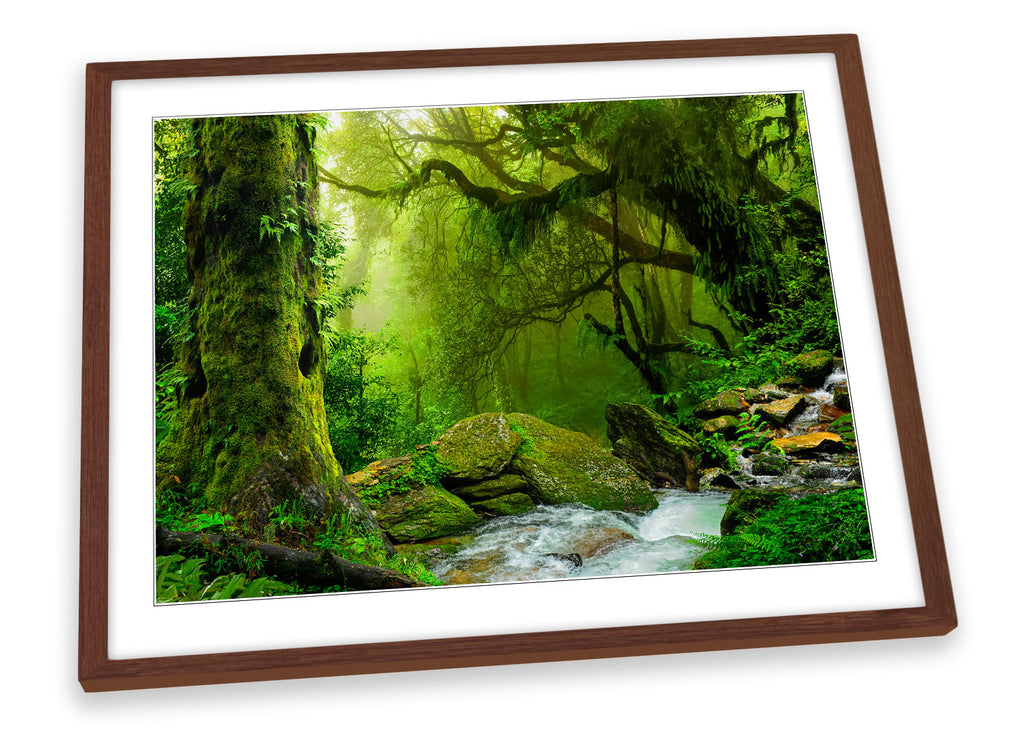 Rain Forest Landscape River Green Framed