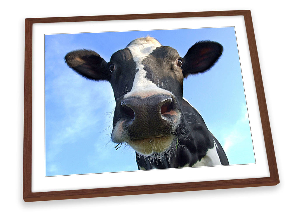 Cow Farm Animal Framed