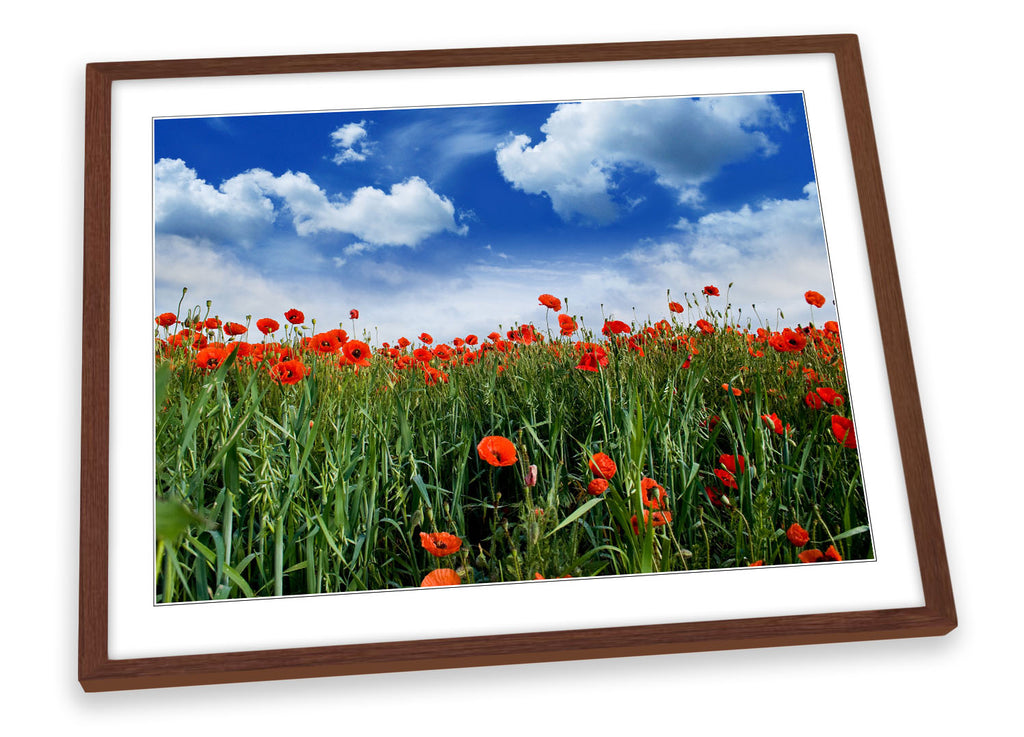 Poppy Meadow Floral Flowers Framed
