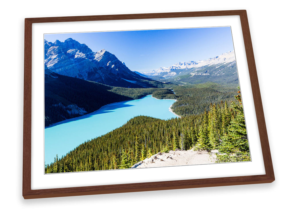 Canadian Rockies Landscape Framed