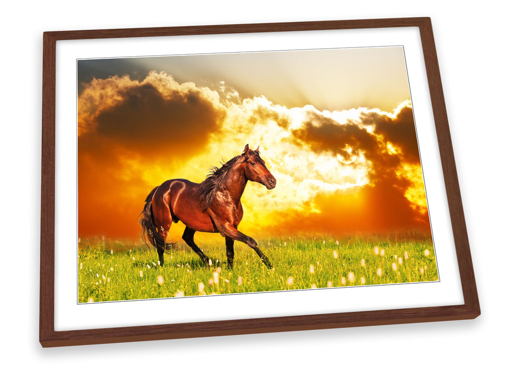 Horse Sunset Meadow Orange Framed