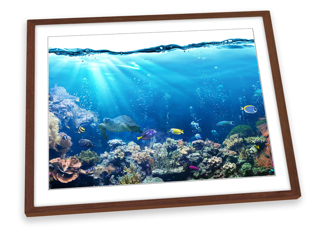 Underwater Fish Coral Marine Framed