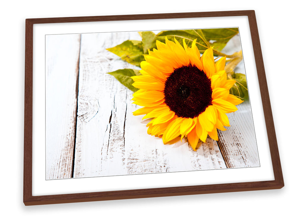 Sunflower Floral Flower Framed
