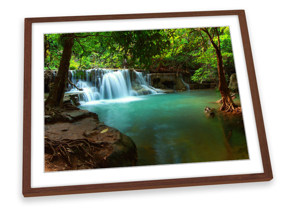 Tropical Rain Forest Scene Framed