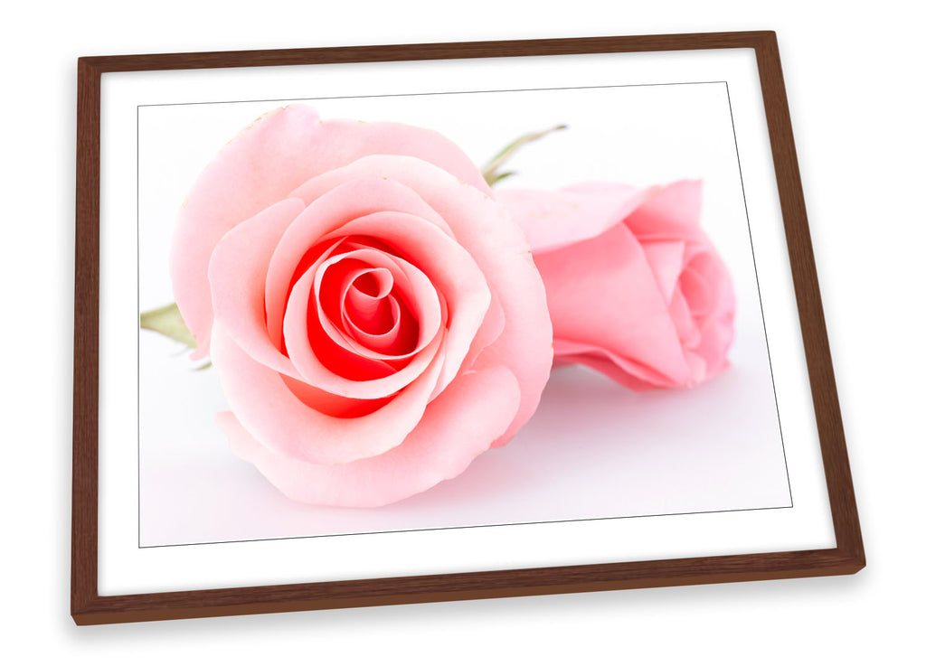 Pair Pink Floral Flower Rose Framed