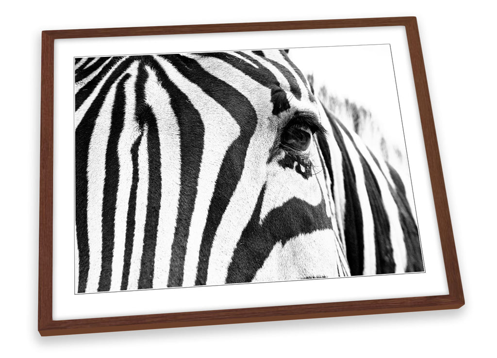 Zebra Stripes Animal Framed
