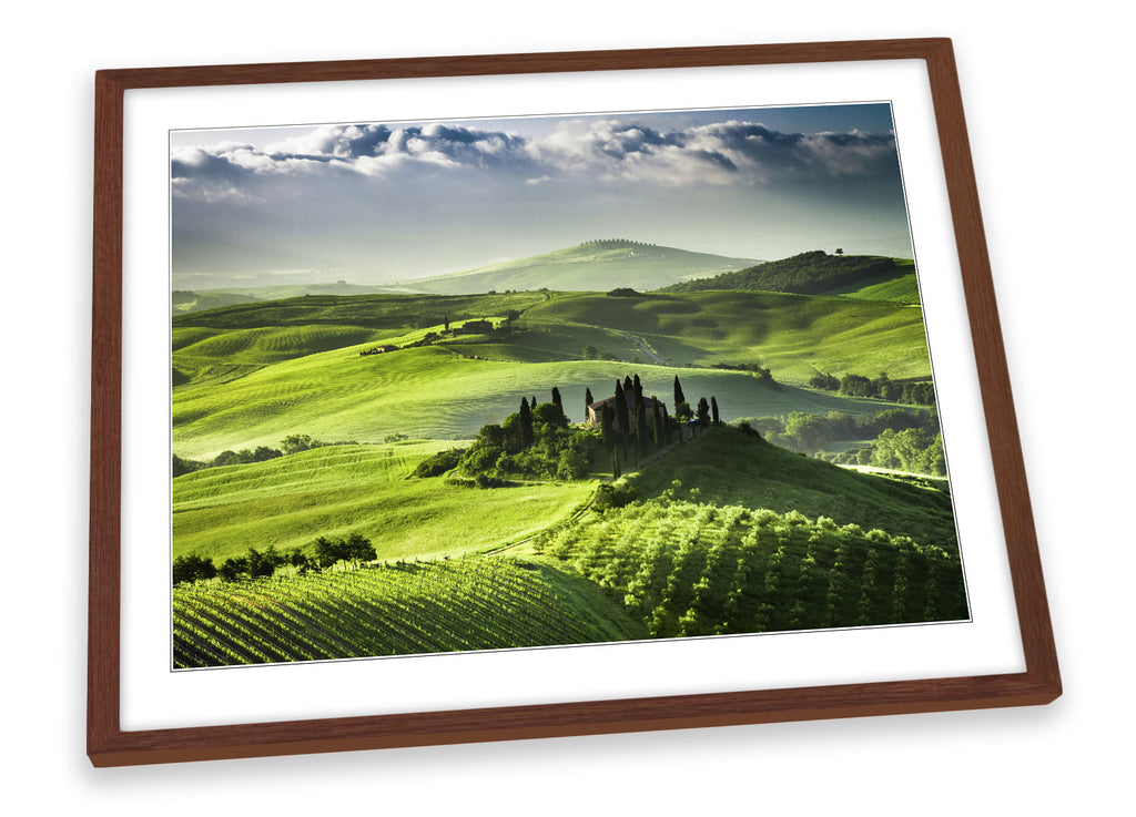 Tuscany Landscape Vineyards Framed