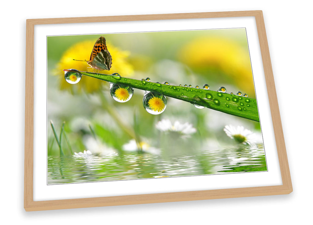 Floral Butterfly Dew Drops Framed