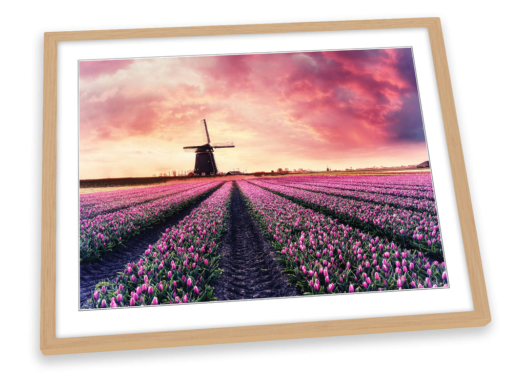 Windmill Pink Sunset Landscape Framed