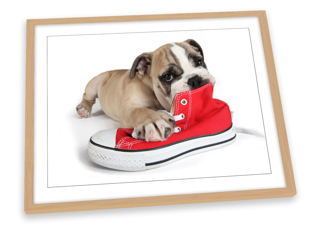 British Bulldog Puppy Shoe Red Framed