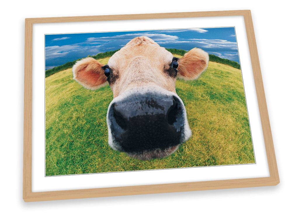 Cow Funky Face Farm Framed