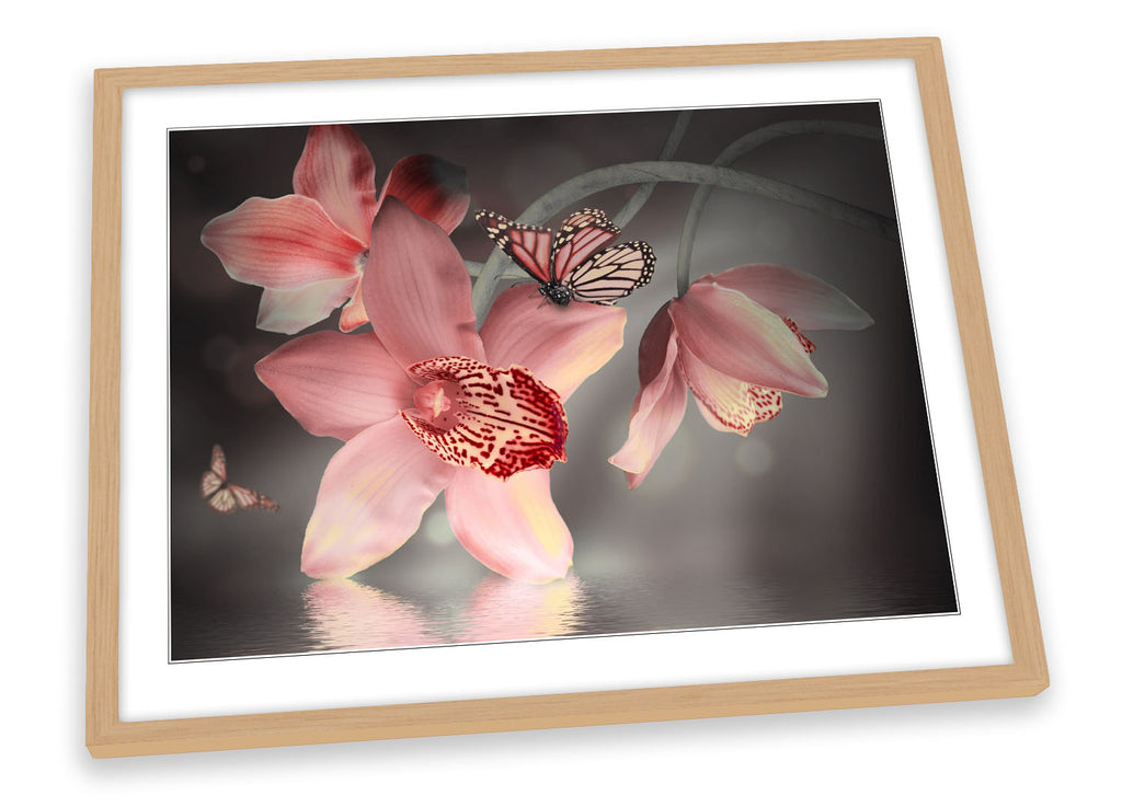 Orchids Floral Flower Butterfly Framed