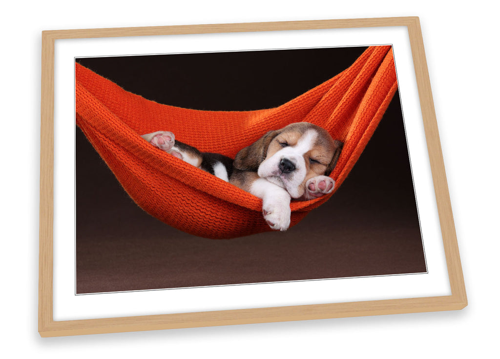 Cute Beagle Puppy Sleeping Red Framed