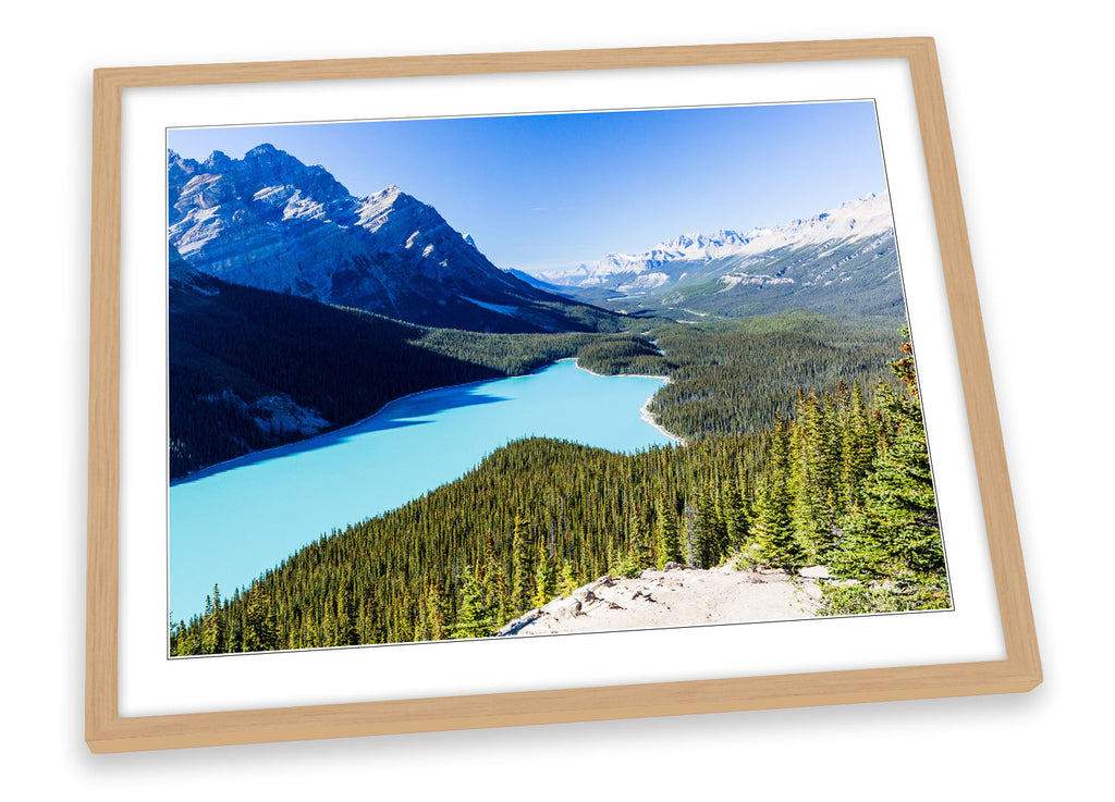 Canadian Rockies Landscape Framed