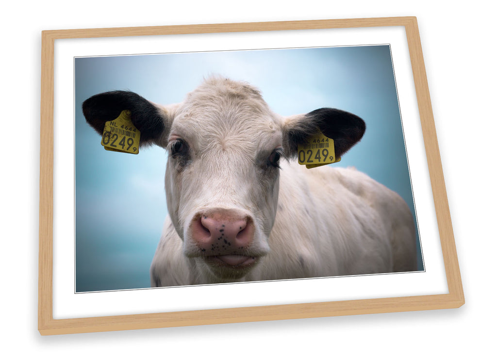 Farm Cow Face Framed