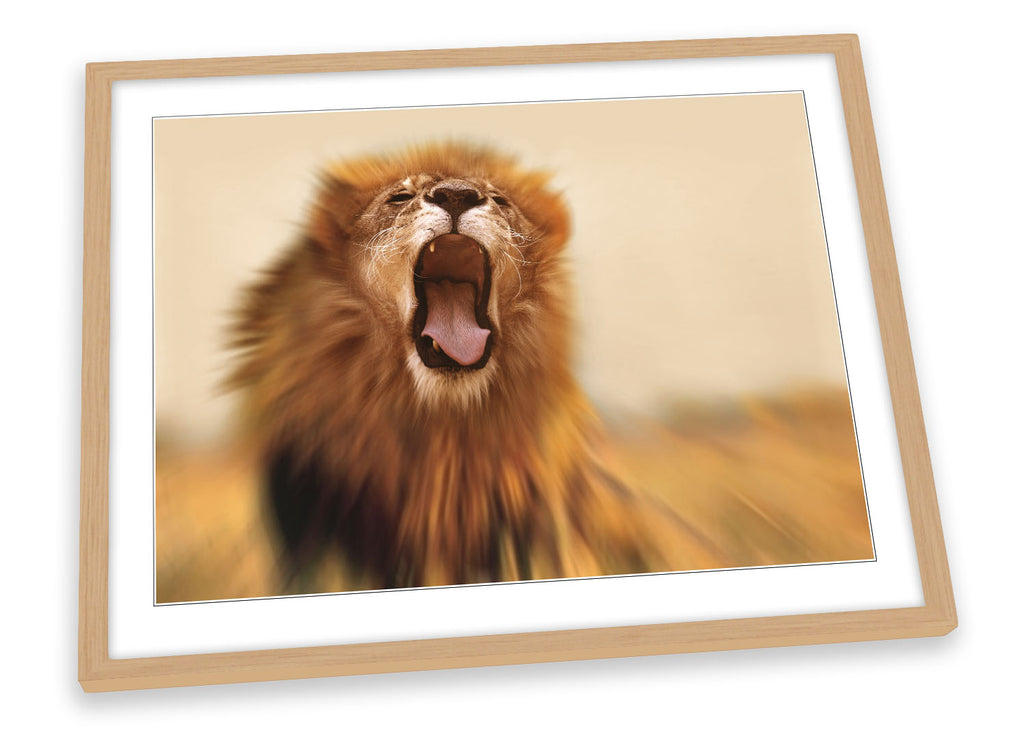 Lion Roar Safari Framed