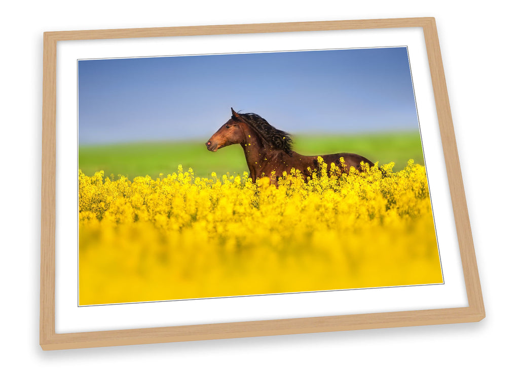 Horse Field Floral Yellow Framed