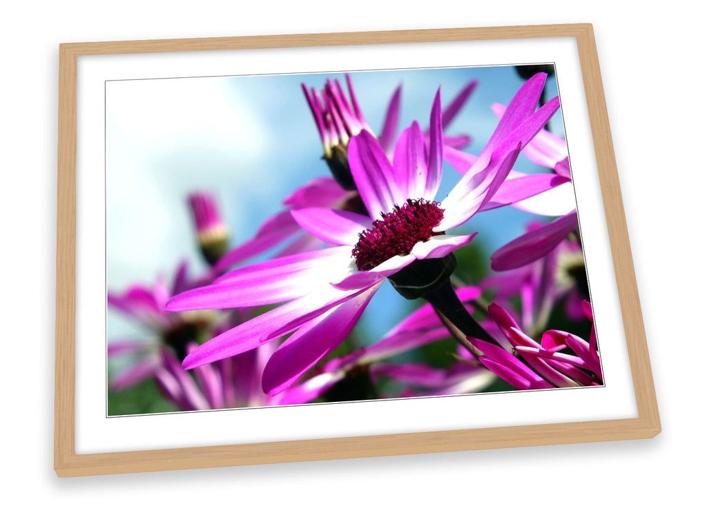 Wild Flowers Floral Purple Framed