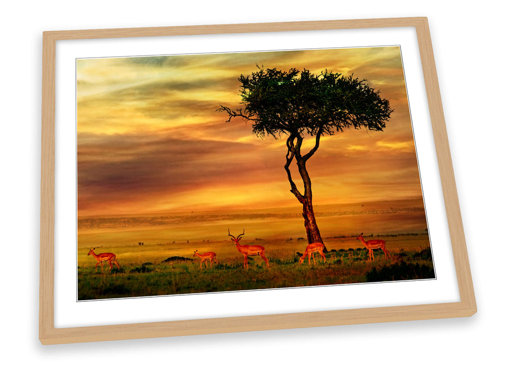 African Sunset Landscape Framed