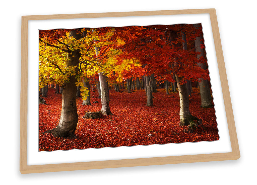 Autumn Forest Red Landscape Framed