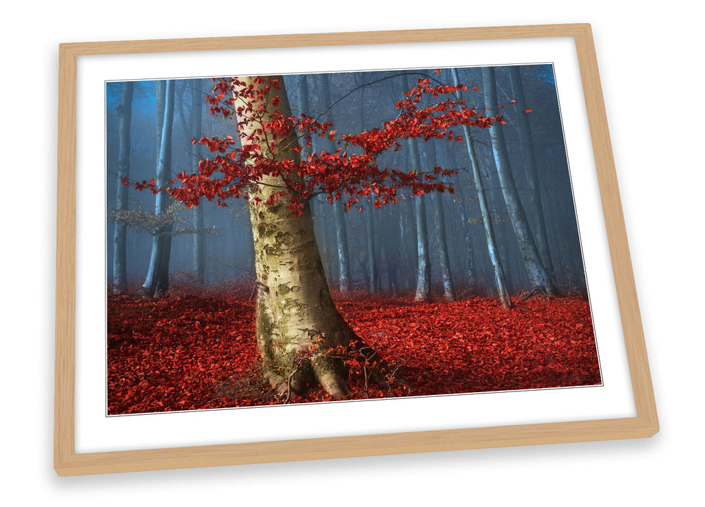 Forest Red Twilight Landscape Framed