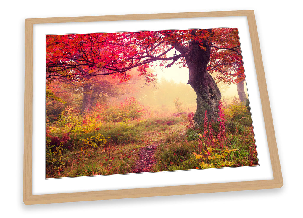 Autumn Red Tree Landscape Framed