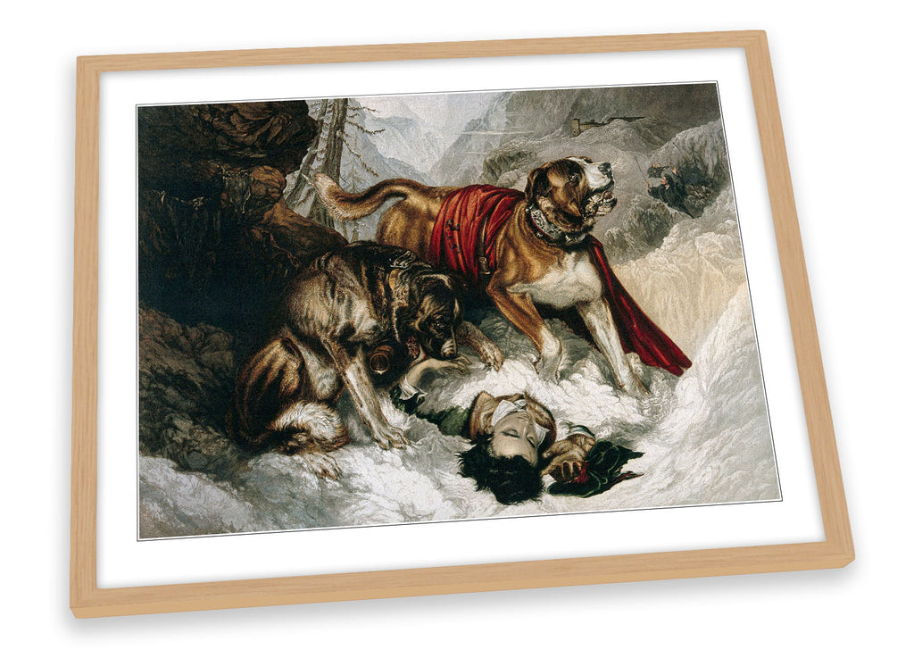 Edwin Landseer Two St Bernard dogs Framed