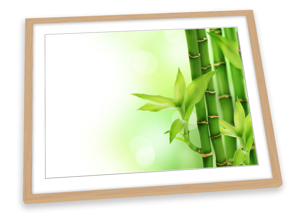 Bamboo Floral Green Framed