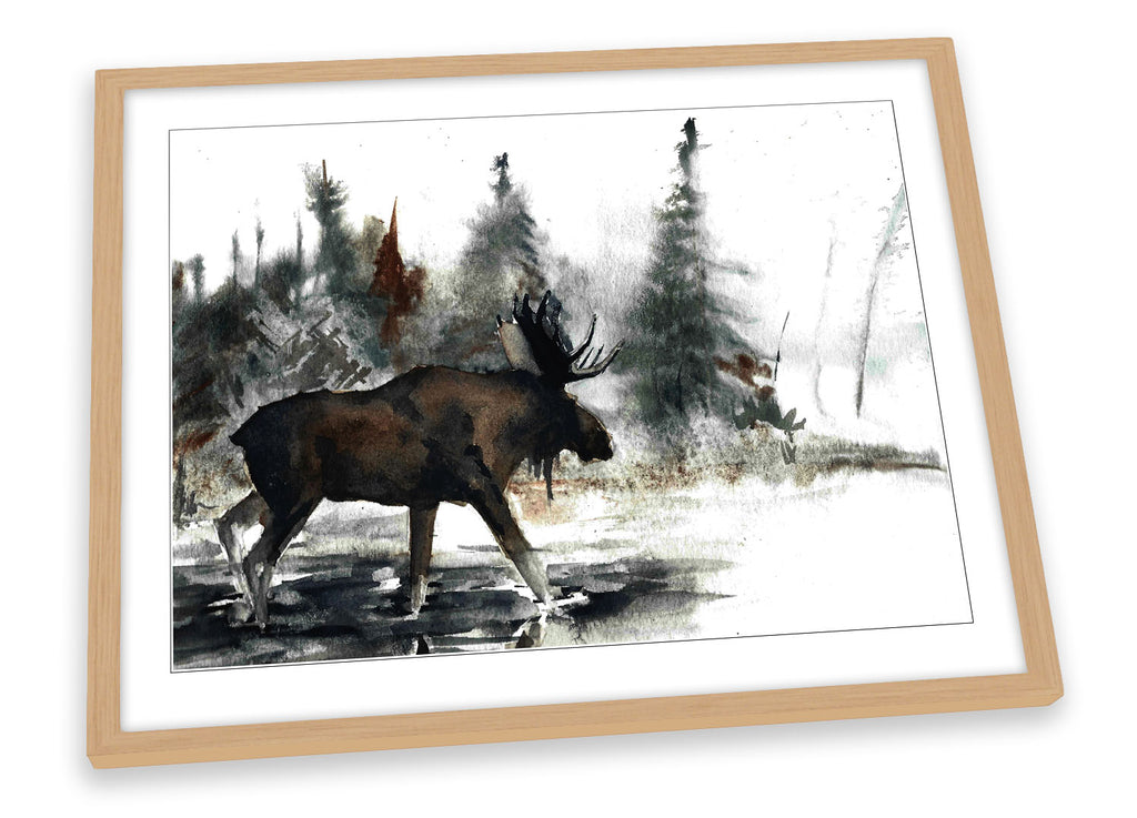 Moose Antlers Wildlife Framed