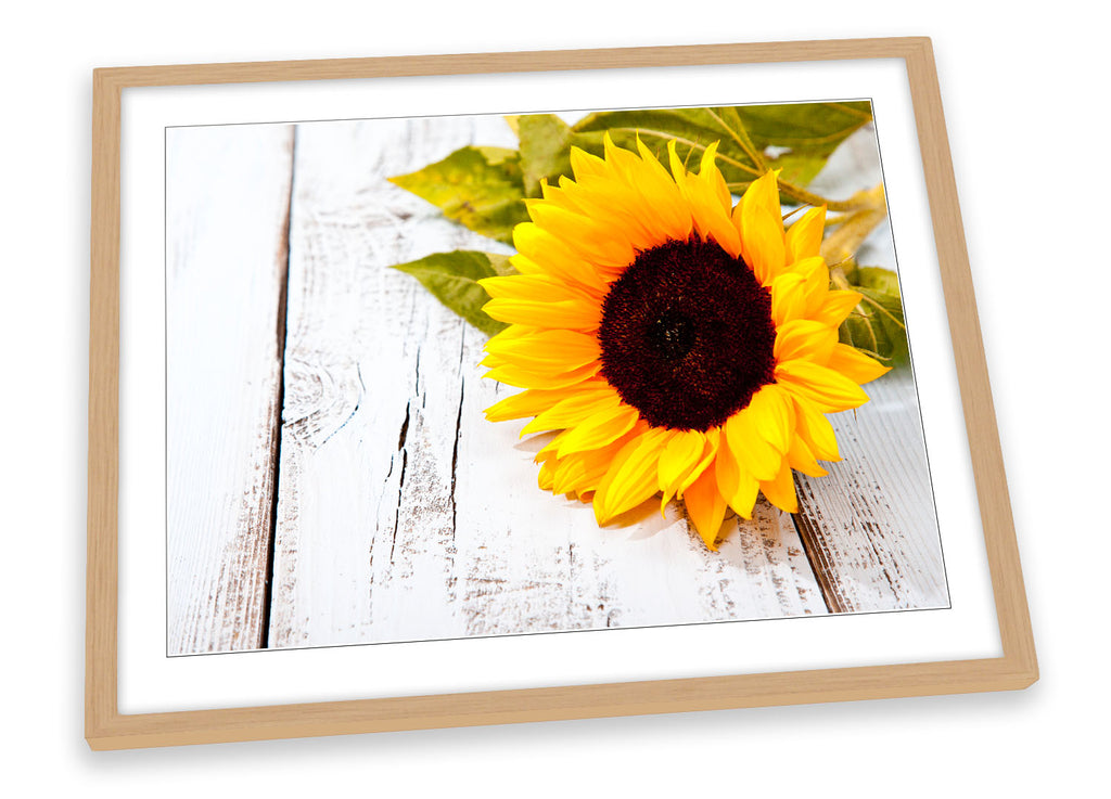 Sunflower Floral Flower Framed