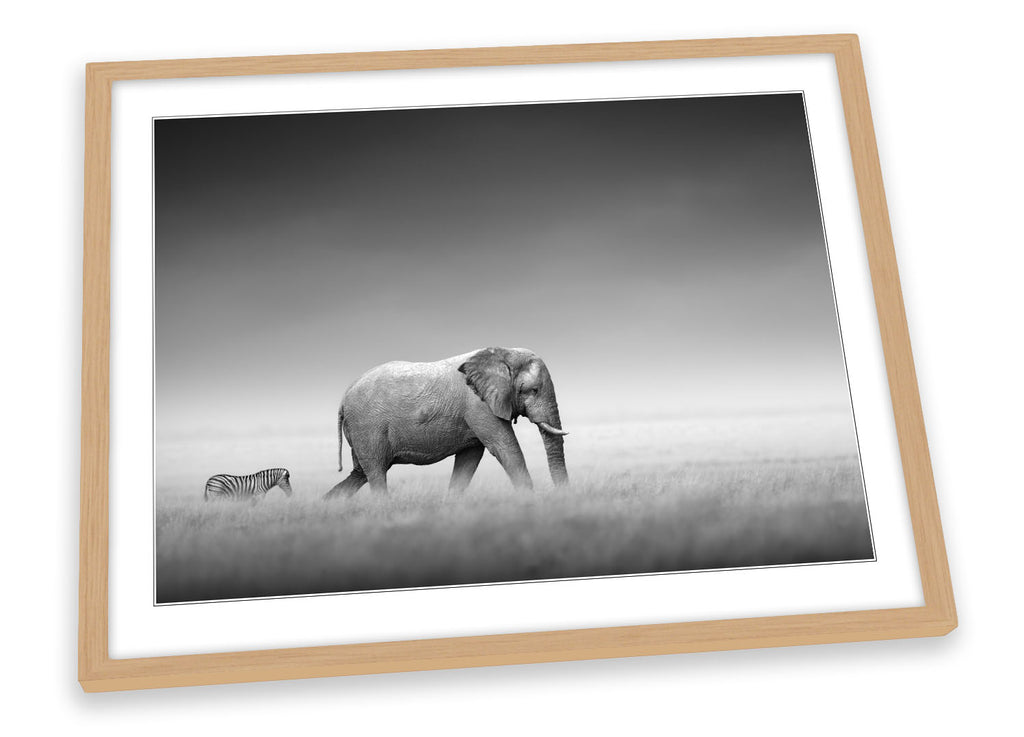 Elephant Zebra Safari Framed