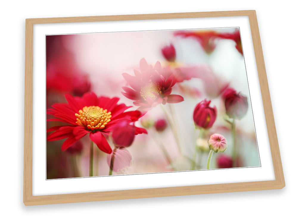 Red Daisy Flower Floral Framed