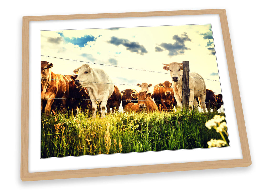 Cow Field Farm Multi-Coloured Framed