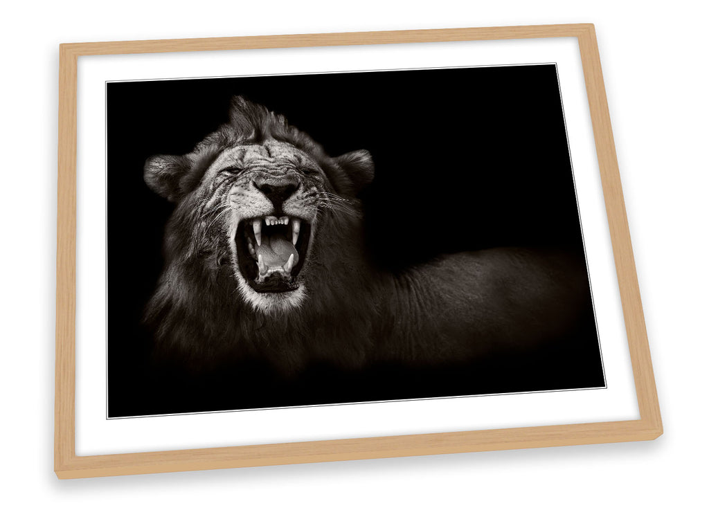 Lion Roar Mono B&W Framed