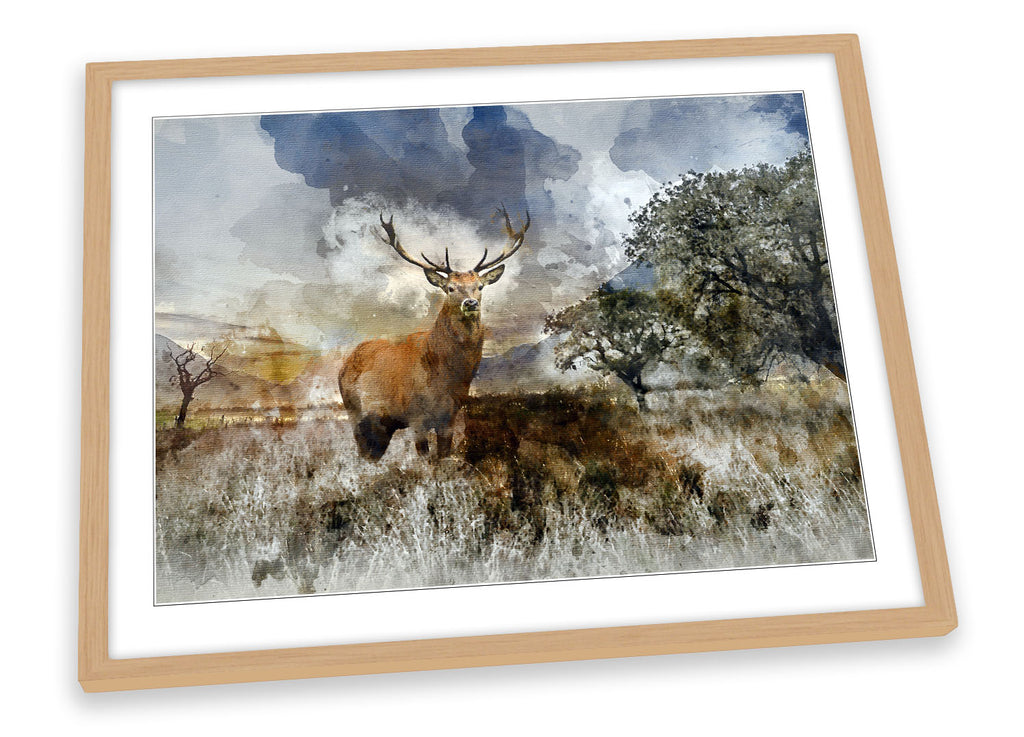Stag Deer Landscape Highlands Framed