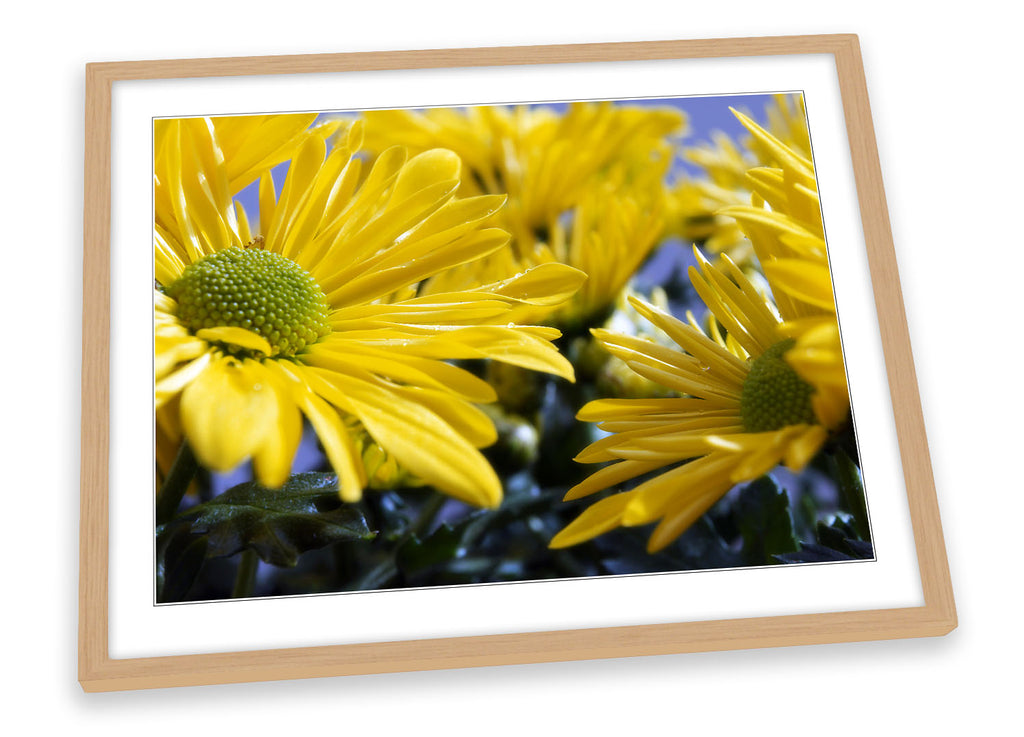 Yellow Flower Floral Framed