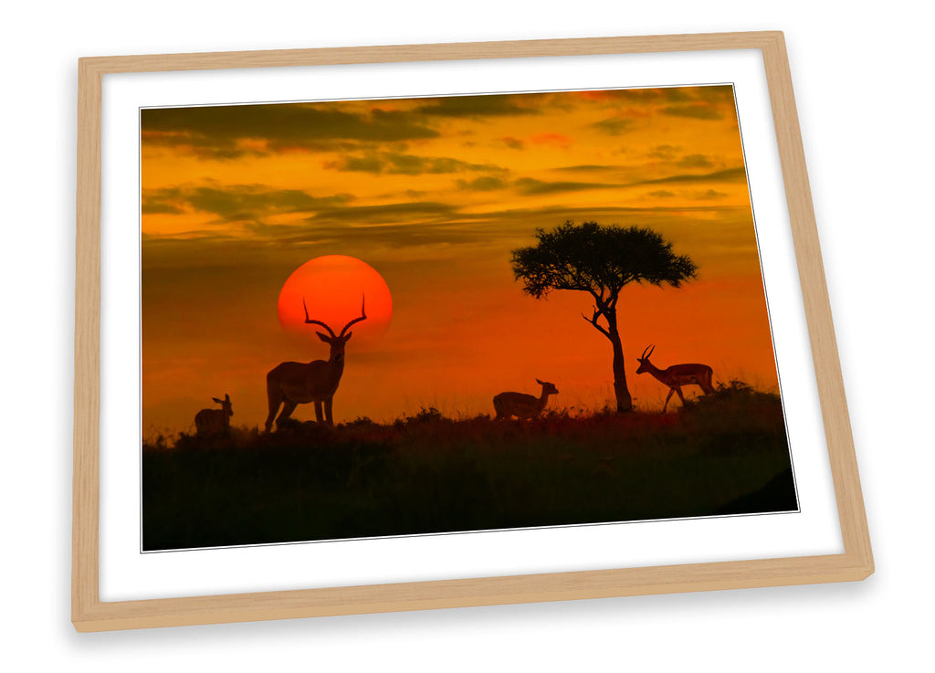 Africa Sunset Wildlife Safari Framed