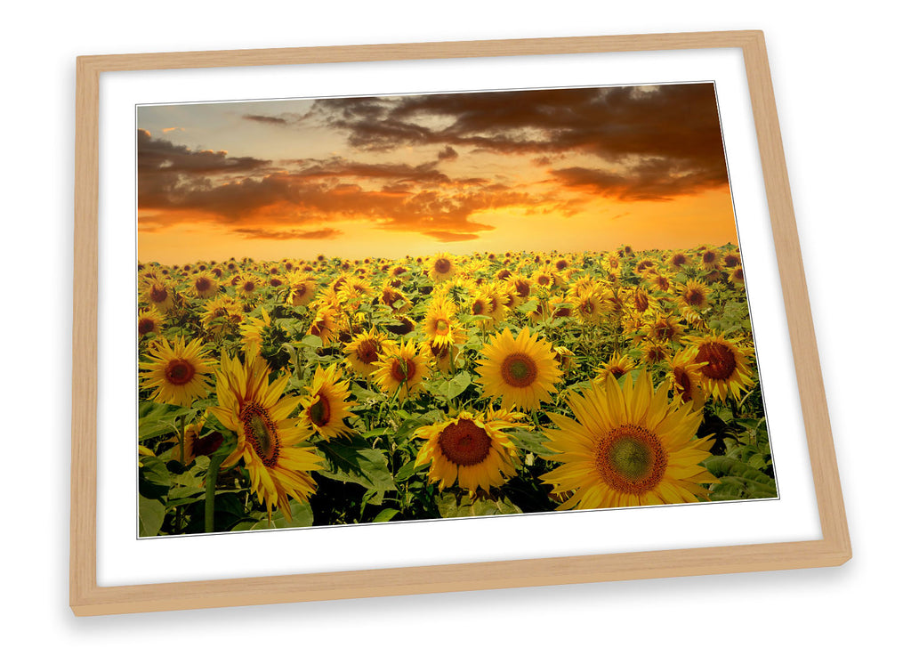 Sunflowers Sunset Floral Framed