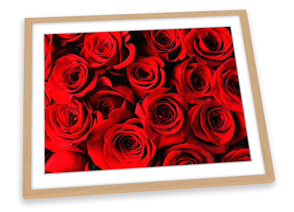Rose Flowers Collection Red Framed
